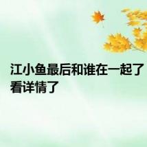 江小鱼最后和谁在一起了 来这里看详情了