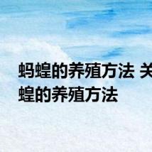 蚂蝗的养殖方法 关于蚂蝗的养殖方法