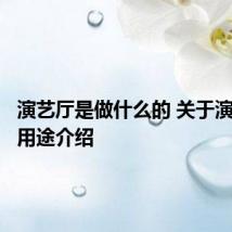 演艺厅是做什么的 关于演艺厅的用途介绍