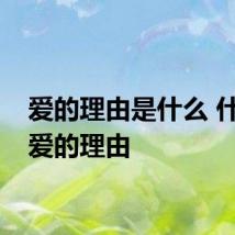 爱的理由是什么 什么是爱的理由