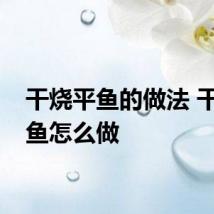 干烧平鱼的做法 干烧平鱼怎么做