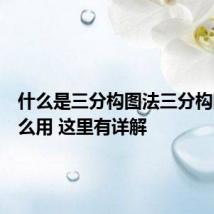 什么是三分构图法三分构图法怎么用 这里有详解