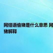 网络语偷猪是什么意思 网络语偷猪解释