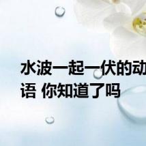 水波一起一伏的动的词语 你知道了吗