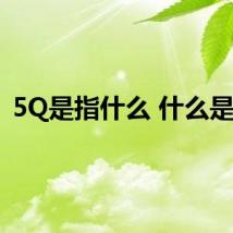 5Q是指什么 什么是5Q
