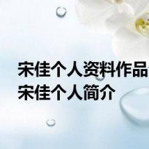 宋佳个人资料作品介绍 宋佳个人简介