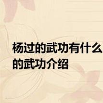 杨过的武功有什么 杨过的武功介绍