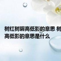 树红树碧高低影的意思 树红树碧高低影的意思是什么