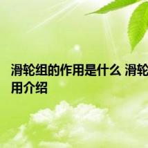 滑轮组的作用是什么 滑轮组的作用介绍