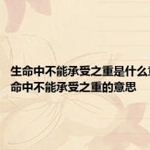 生命中不能承受之重是什么意思 生命中不能承受之重的意思