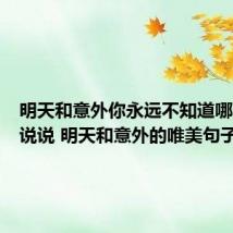 明天和意外你永远不知道哪个先来说说 明天和意外的唯美句子