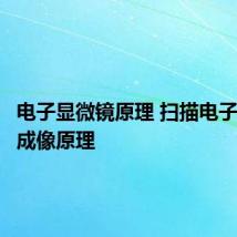 电子显微镜原理 扫描电子显微镜成像原理