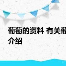 葡萄的资料 有关葡萄的介绍