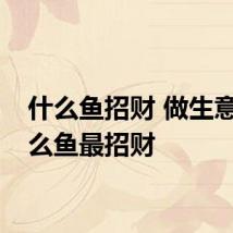 什么鱼招财 做生意养什么鱼最招财