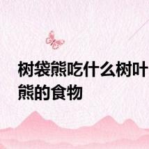 树袋熊吃什么树叶 树袋熊的食物