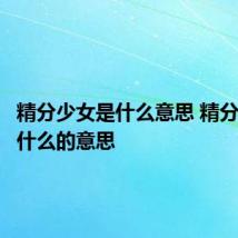 精分少女是什么意思 精分少女是什么的意思