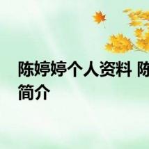 陈婷婷个人资料 陈婷婷简介