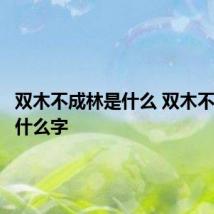 双木不成林是什么 双木不成林是什么字