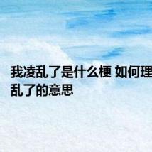 我凌乱了是什么梗 如何理解我凌乱了的意思