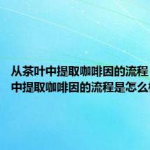 从茶叶中提取咖啡因的流程 从茶叶中提取咖啡因的流程是怎么样的呢