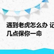 遇到老虎怎么办 记住这几点保你一命