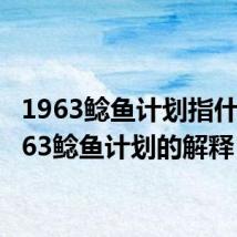 1963鲶鱼计划指什么 1963鲶鱼计划的解释