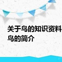 关于鸟的知识资料 关于鸟的简介
