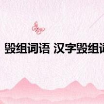 毁组词语 汉字毁组词语