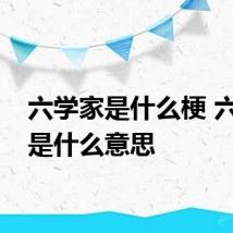六学家是什么梗 六学家是什么意思