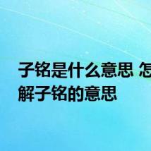 子铭是什么意思 怎么理解子铭的意思