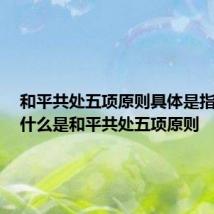 和平共处五项原则具体是指什么? 什么是和平共处五项原则