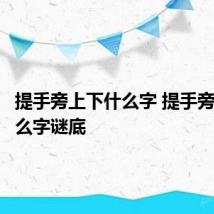 提手旁上下什么字 提手旁上下什么字谜底