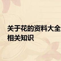 关于花的资料大全 花的相关知识