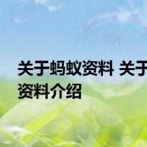 关于蚂蚁资料 关于蚂蚁资料介绍