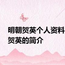 明朝贺英个人资料 明朝贺英的简介