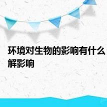 环境对生物的影响有什么 深入了解影响