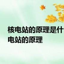 核电站的原理是什么 核电站的原理