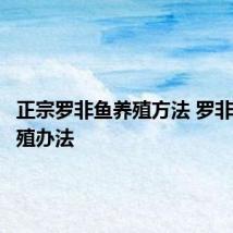 正宗罗非鱼养殖方法 罗非鱼的养殖办法