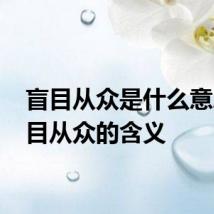 盲目从众是什么意思 盲目从众的含义