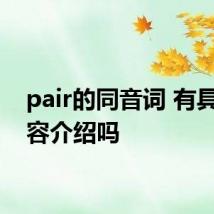pair的同音词 有具体内容介绍吗