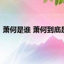萧何是谁 萧何到底是谁