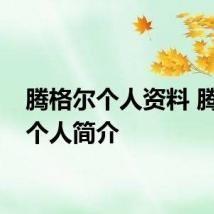 腾格尔个人资料 腾格尔个人简介