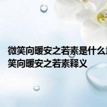 微笑向暖安之若素是什么意思 微笑向暖安之若素释义