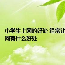 小学生上网的好处 经常让学生上网有什么好处