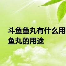 斗鱼鱼丸有什么用 斗鱼鱼丸的用途