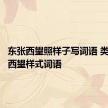 东张西望照样子写词语 类似东张西望样式词语