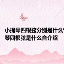 小提琴四根弦分别是什么音 小提琴四根弦是什么音介绍