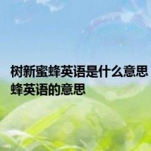树新蜜蜂英语是什么意思 树新蜜蜂英语的意思