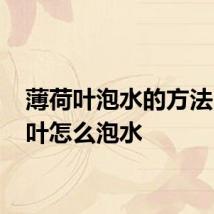 薄荷叶泡水的方法 薄荷叶怎么泡水