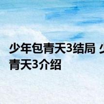 少年包青天3结局 少年包青天3介绍